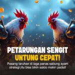 Panduan Lengkap Bermain Tembak Ikan: Strategi, Fitur, dan Tips Sukses