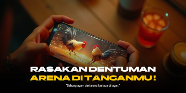 Mengenal Jenis-Jenis Ayam Aduan di Sabung Ayam SV388