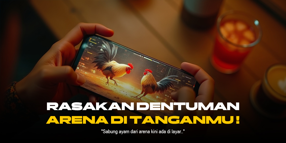 Mengenal Jenis-Jenis Ayam Aduan di Sabung Ayam SV388