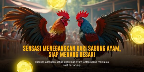 Keunikan Ayam Bangkok dalam Sabung Ayam SV388