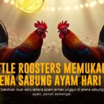 Mengenal Jenis Sabung Ayam di SV388, Odds, dan Strategi Menang