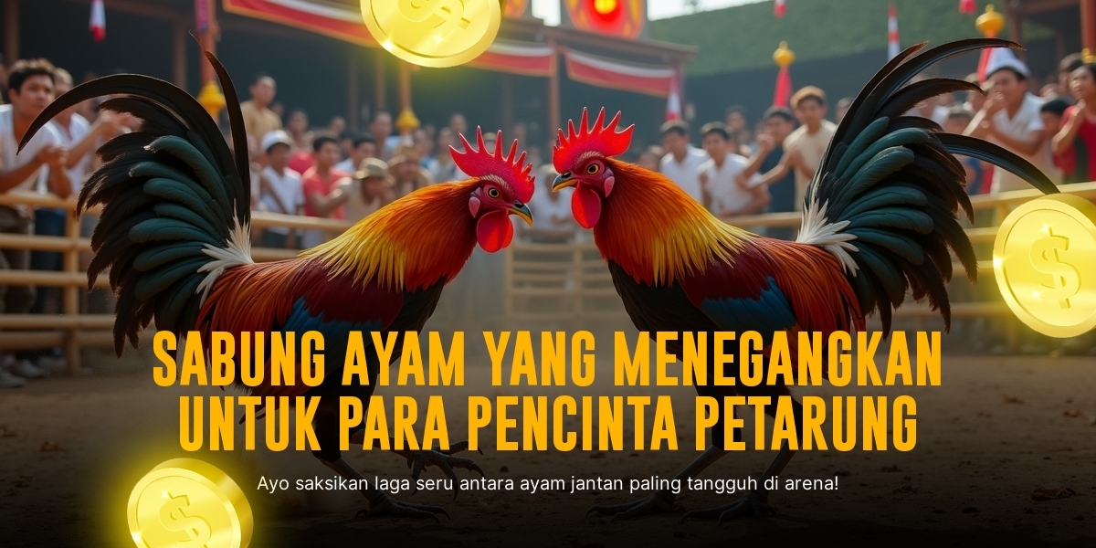 Mengenal Jenis Ayam Aduan di Sabung Ayam SV388