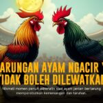 Mengungkap Keunggulan Sabung Ayam SV388: Adu Strategi dan Odds Terbaik