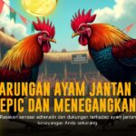 Strategi Menang Sabung Ayam di Platform SV388