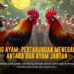 S128 Sabung Ayam: Adu Strategi dan Keberuntungan dalam Dunia Ayam Adu