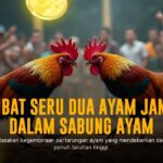 Mengenal Jenis Ayam Aduan dan Odds di SV388 Sabung Ayam