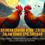 Mengenal Jenis Ayam Petarung SV388 yang Paling Populer