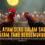 Petualangan Seru di Dunia Sabung Ayam SV388: Jenis, Odds, dan Tips