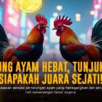 Mengulik Sabung Ayam SV388: Adu Ayam Modern dengan Odds Menarik