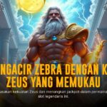 Bebas Main Slot Hot Fiesta Pragmatic Play, Sensasi Jackpot Melimpah!