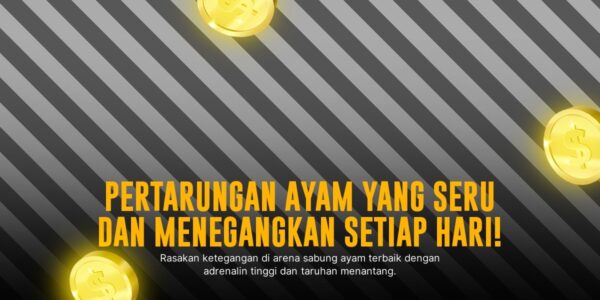 Mengulik Jenis Ayam Laga dan Odds di SV388 Sabung Ayam