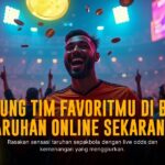 Bola Evolution Gaming: Keseruan Taruhan Casino Live yang Tak Tertandingi